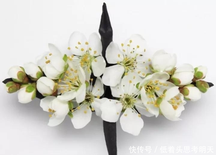 重样|每天折一只千纸鹤,他坚持了1000天不重样,女友被感动到梨花带雨