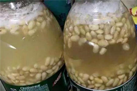 在家自制“肥水”,给花浇点,叶子不黄呼呼开花!