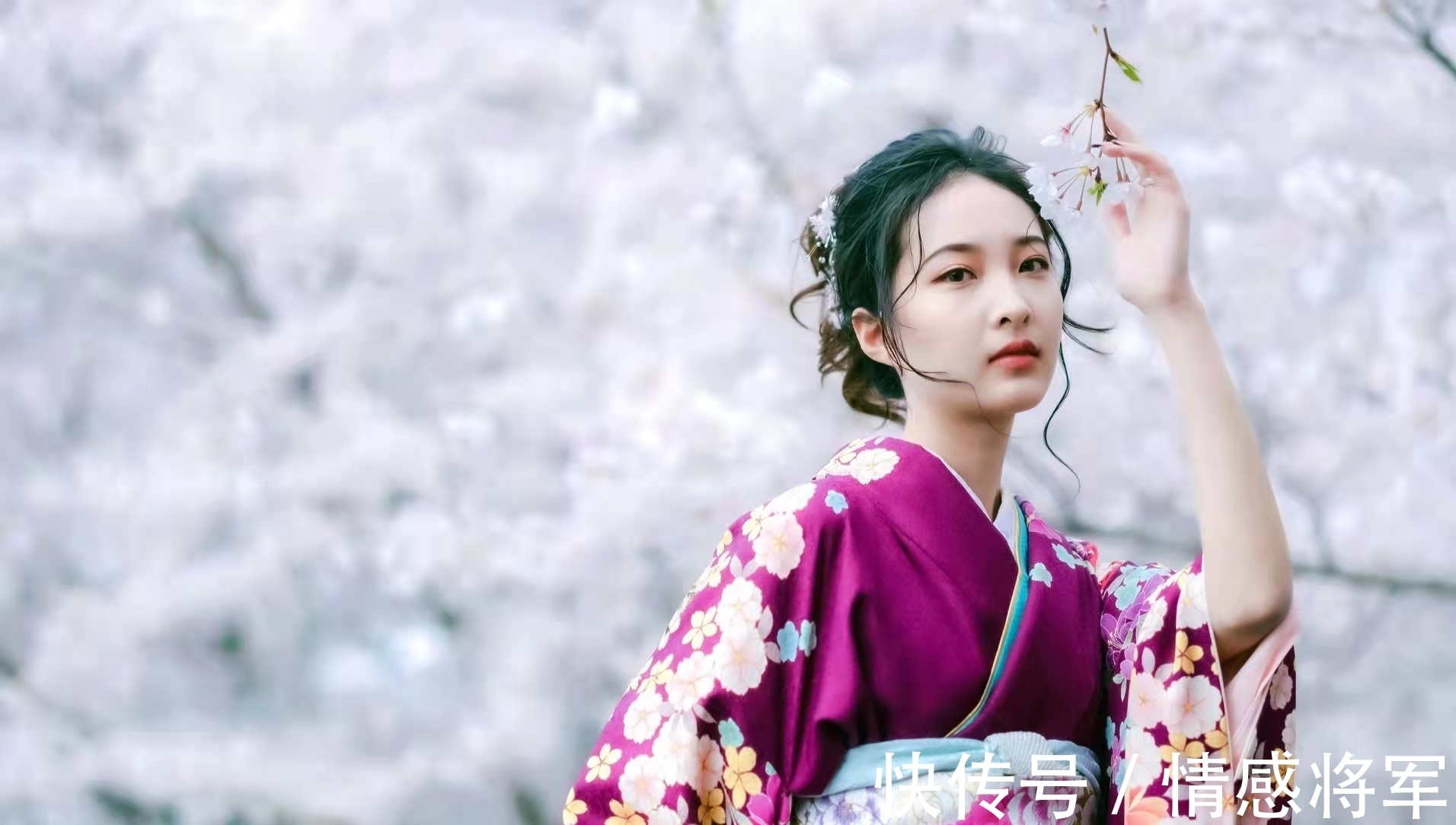 犬豚!七言格律:春飞玉宇空来鹤,酒兴山川乱卷云