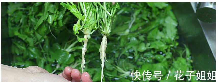 小时候|入秋后，碰见这菜别手软，一次性买15斤，放冰箱冻起来，特别省事！