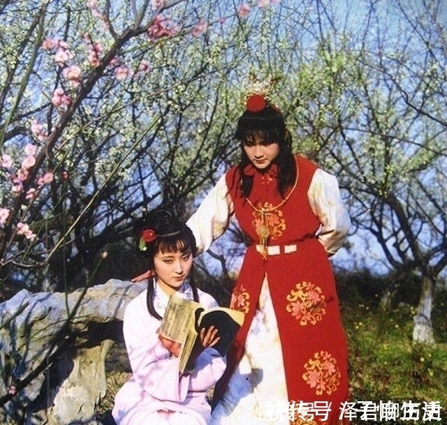 黑锅|滴翠亭偷听事件,薛宝钗嫁祸黛玉,如果被黛玉知晓会有什么反应?