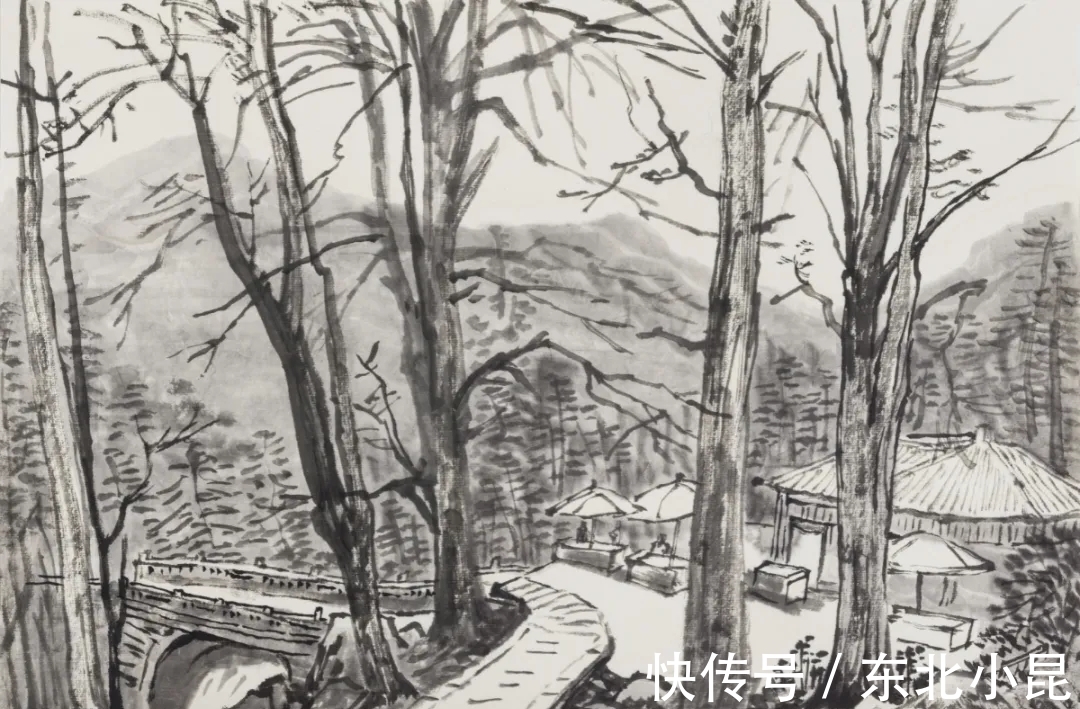 黄山#画山画水,山水画家王学辉黄山最新写生