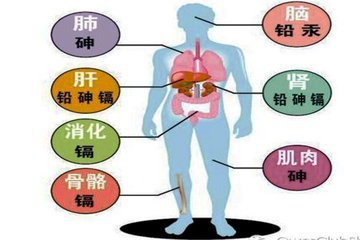 绿叶蔬菜|饮用水中重金属对人体的危害及预防