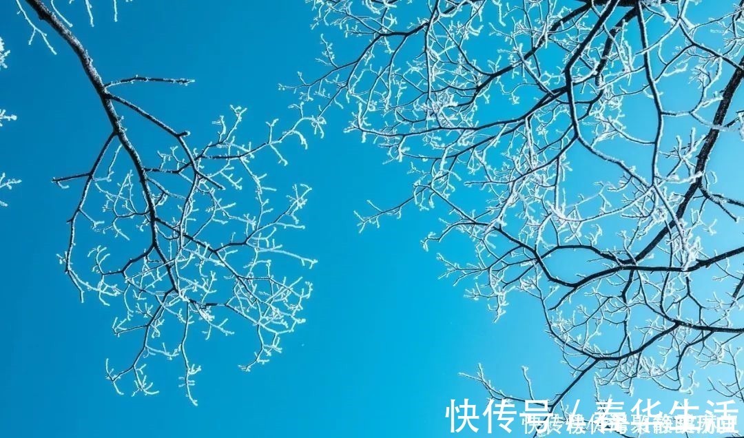 韦应物#咏雪最好的8首诗词,藏着千古名句,哪一首是你心中的第一