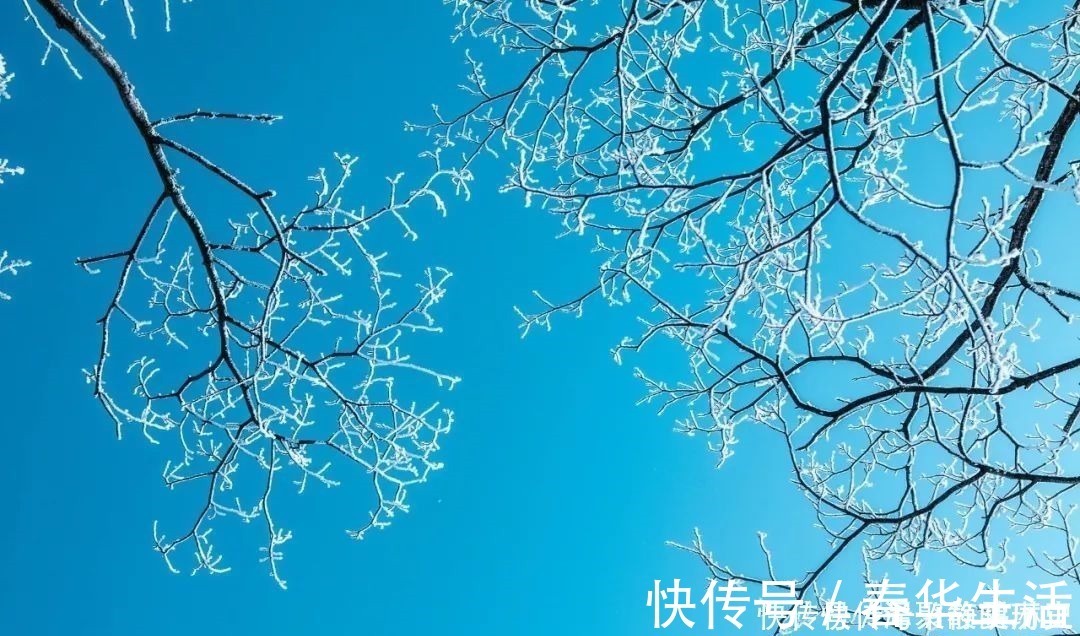 韦应物#咏雪最好的8首诗词，藏着千古名句，哪一首是你心中的第一