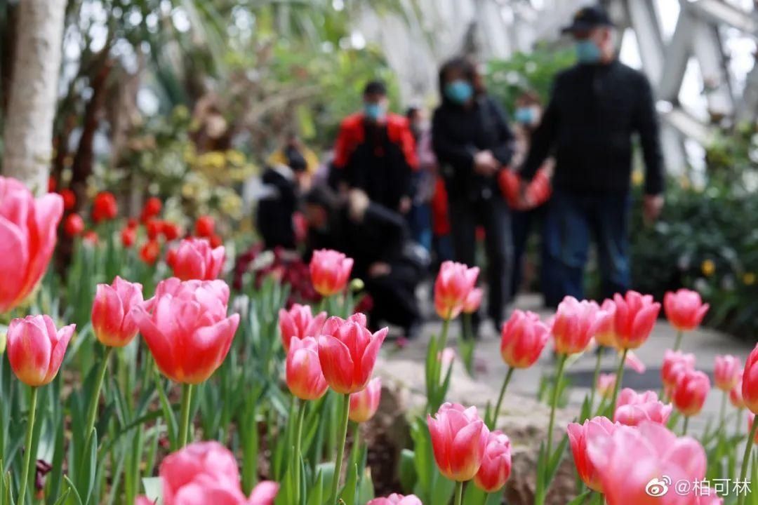 老年|留松过大年丨松江这些红红火火的地方，你去打卡了吗？