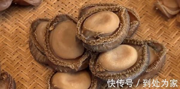 海產(chǎn)品|真正鮑魚(yú)中的幾頭鮑是什么樣的？