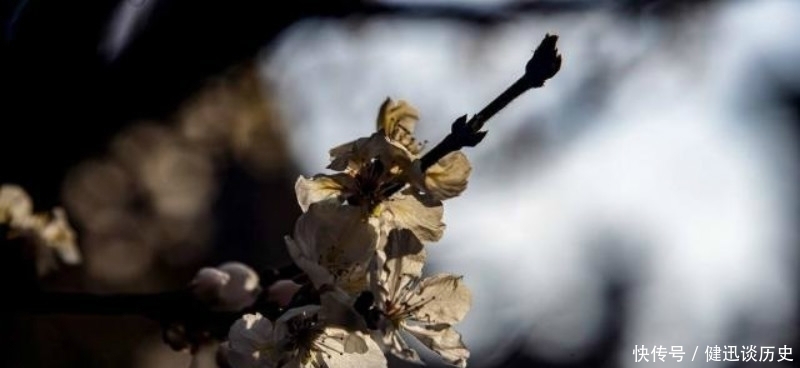 名篇|宋朝这位诗人典型的诗红人不红,但一首诗却是流芳百世,成为名篇