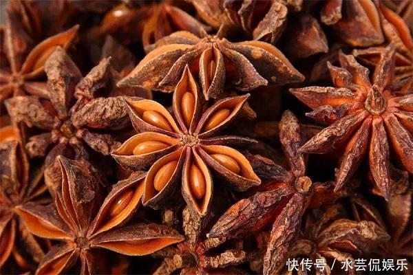 假八角|市场上的一种“假八角”,含有很大毒素,希望没有出现在你家厨房