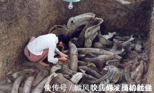 徐福&秦始皇想要的“不死神术”,《山海经》有记载,被考古队找到