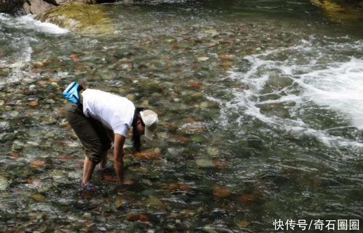 写给奇石的一首歌