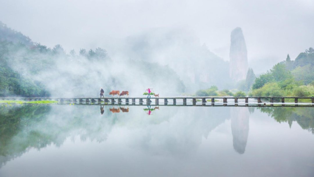 永宁路|缙云县旅游业“微改造、精提升”｜绣针绘画卷 工笔写诗篇