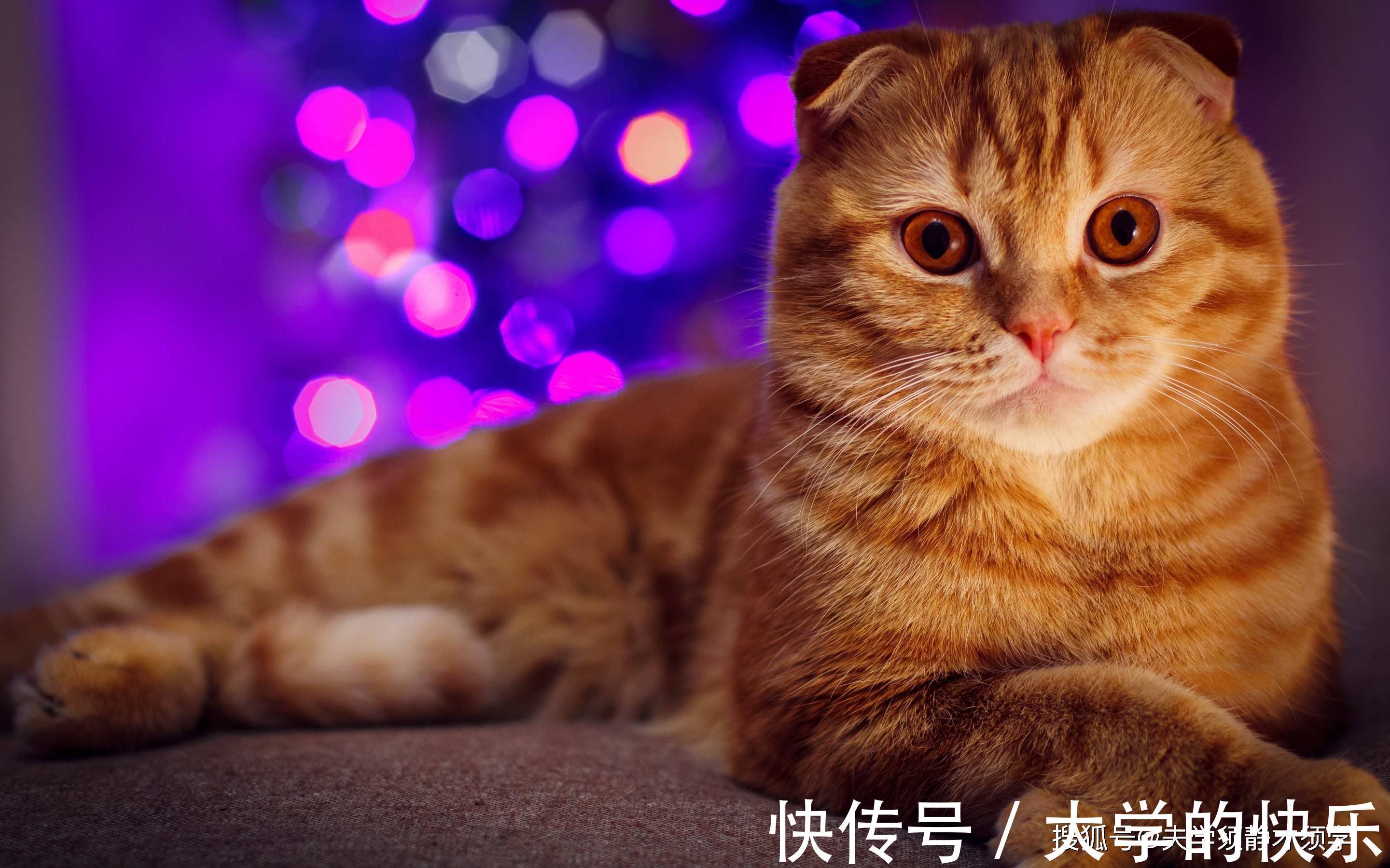 |内涵段子:昨晚和老公大吵一顿,老公笑道:看你气得脸上还挂着泪水!