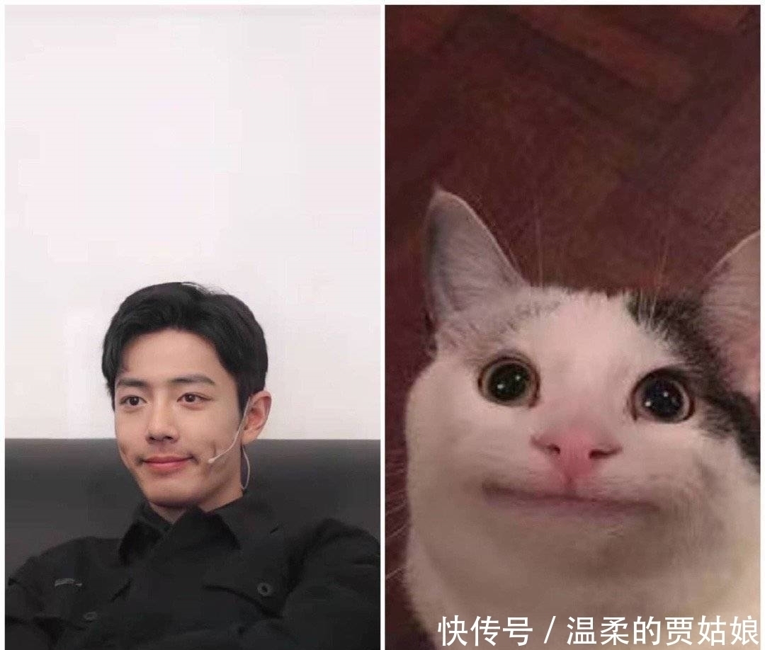 瑟瑟发抖|被剪掉的节目重见天日,瑟瑟发抖的不是肖战,是“综艺咖”更难了