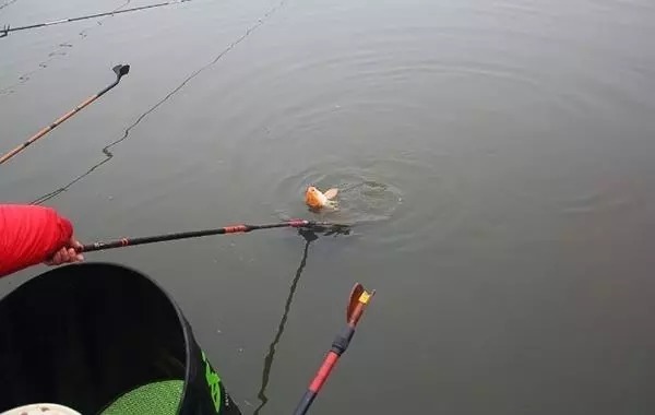 冬钓开饵时,只要牢记这五步,莫不信,鱼饵入水就有口,过瘾!