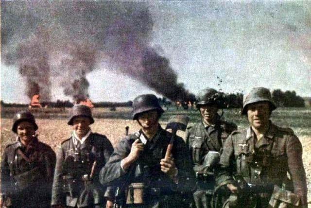 德国|德军二战的100万“动物部队”,没它们可能早就输了