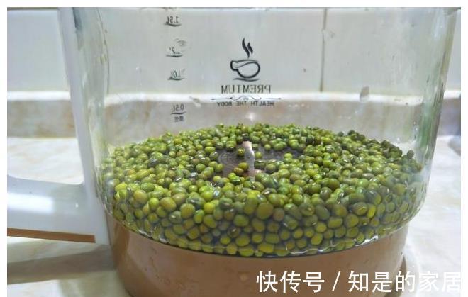 清澈|熬绿豆汤总发红?教你正确做法,豆汤清澈透绿,三伏天正好喝