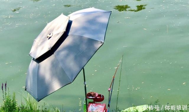 老钓手常有不错的渔获,这是为什么呢他们告诉了我钓饵的秘密!