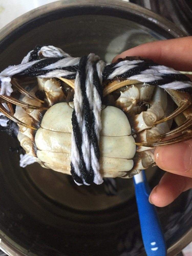 马锐拉|是谁偷了你网购的坚果？