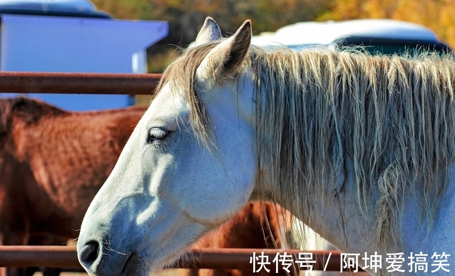 九曲十八湾|盘龙峡谷，乌兰布统草原上的九曲十八湾，展现的是一种原始的美