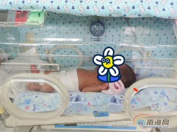 心脏病|海南首例“剖宫又开胸”手术成功，心脏病产妇平安生子