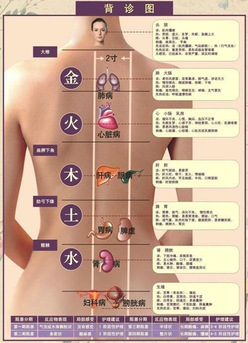  区域|背薄一寸，命长十年！全网最全面背诊方法，一眼便知健康状况！