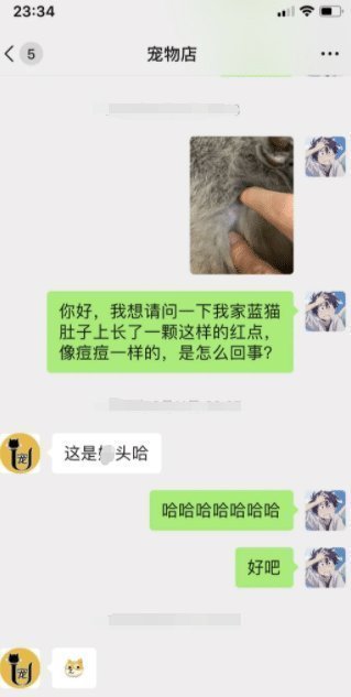 笑死|“千万不要再网购了”否则你会笑死在与客服的对话里，哈哈哈哈