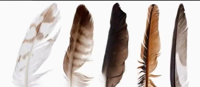 专属|8个地球上极度昂贵的奢侈收藏品,土豪专属!