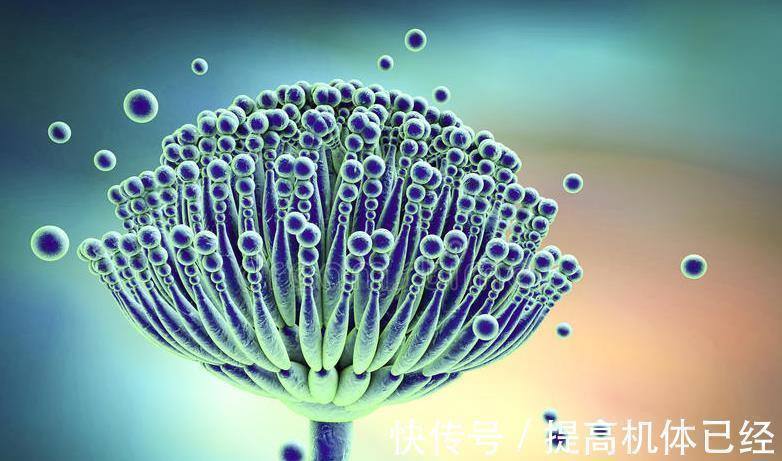 胆红素|“上肢”出现这种征兆，应尽早检查肝功能，或是肝脏病变“信号”