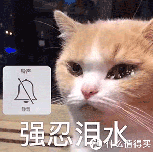 长文|如何选购风炉烤箱？五千字长文告诉你普通烤箱和风炉烤箱怎么选