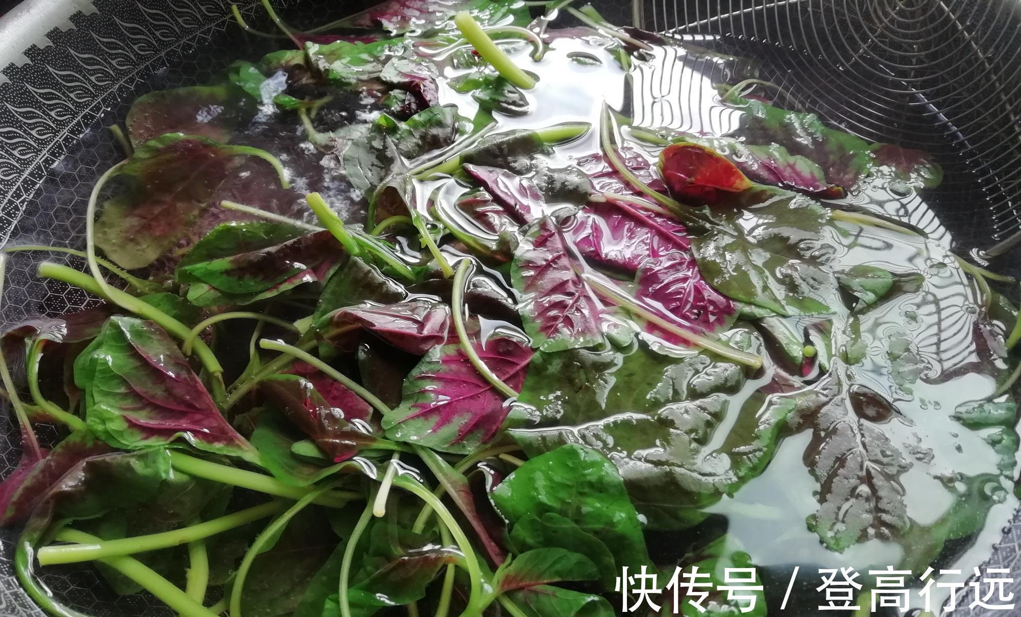 六月苋|7月,这菜金不换,我家每年囤20斤,放冰箱冻起来,特省事!