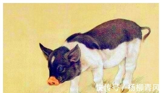 搞笑对话|萌宝与爸爸的搞笑对话:有人欺负你宝贝你要怎么办?爸爸回复绝了