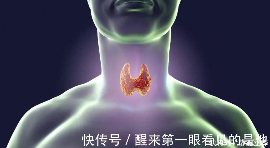 甲状腺|甲状腺结节的诱因找到了,若多吃这两物,甲状腺问题或会不告而别