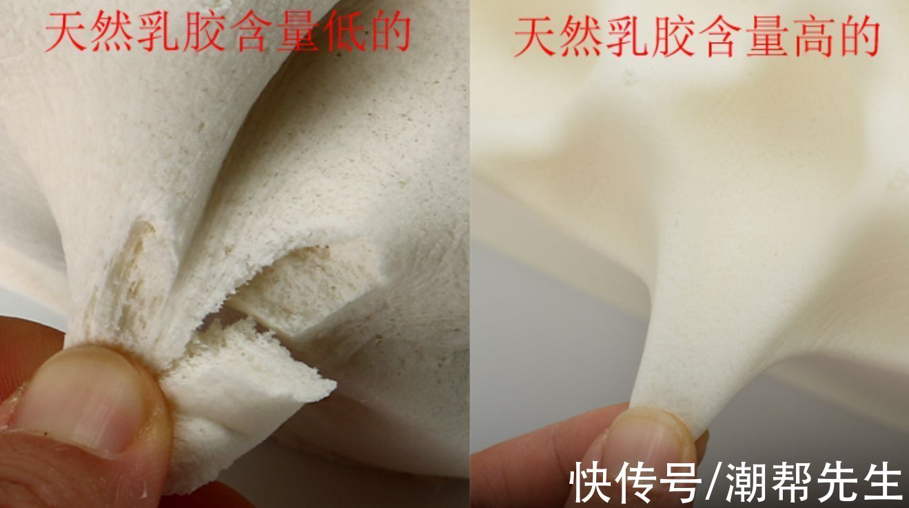 overflow|乳胶枕算不算智商税？花几百上千元买个枕头有必要吗
