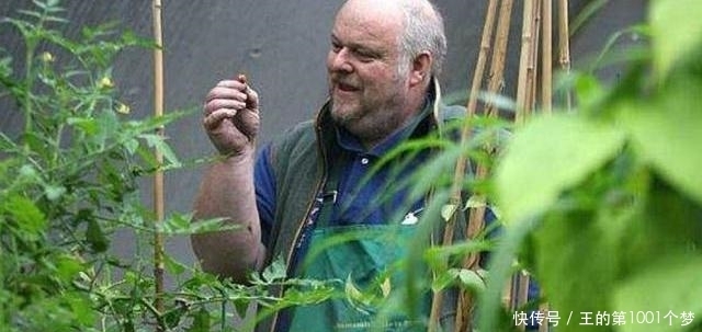 致命|世上最辣辣椒诞生,不是能吃辣吗,吞下一颗都能致命!