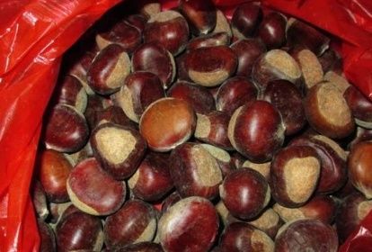 水煮板栗，冷水下锅还是热水下锅？做错了，难怪板栗不易剥还发硬