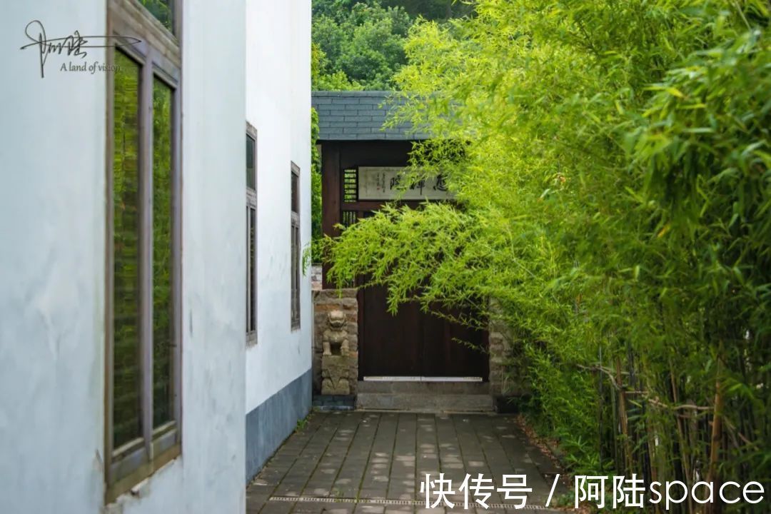 杨梅树|苏州有座古寺因泉得名，周围却种满杨梅树，可能已有1000多年历史