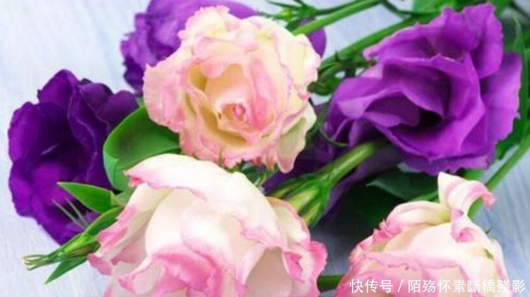 5种花花朵硕大，花期长，开花满枝头，越养越值钱，方法很简单