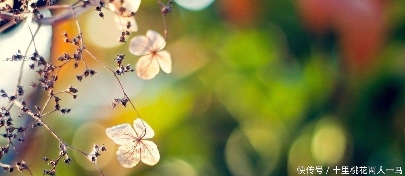 诗词文化!宋代最懒的诗人,一生只写半首诗,却成为千古名言,至今人人会背!