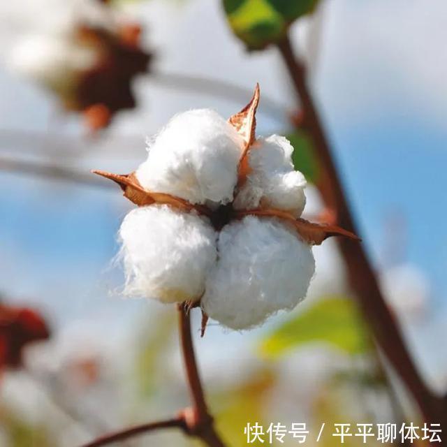 衬衫面料界的“爱马仕”，从英国王室到时尚潮流界无不折服