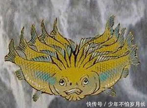 何罗鱼是鱿鱼吗?何罗鱼真实图片,一个脑袋十个身子的怪鱼
