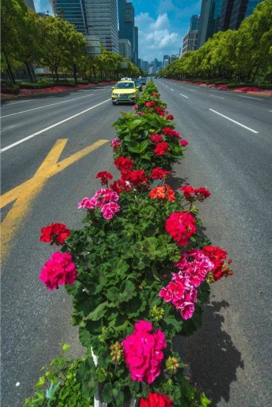 鲜花为笔，画出“五一”花瀑！浦东这些地标变“花境”，个个出片！