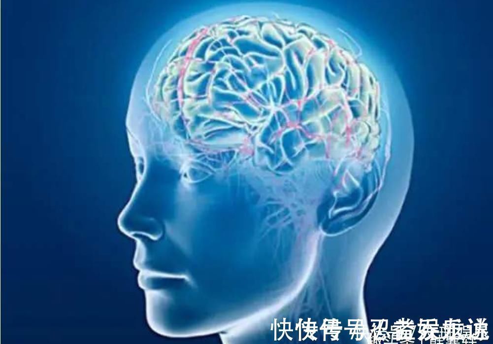 机器人|科学家发现计算机要40分钟,而人类只需一秒就能完成任务