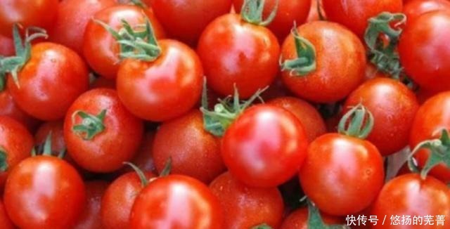 买西红柿时,看到这种西红柿白送你都不要,别再买错了