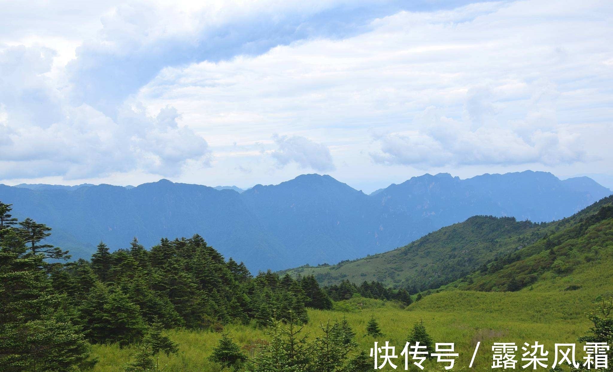 雄浑#北宋诗人王令一首《大松》,松树形象大气磅礴,青春之志令人赞扬