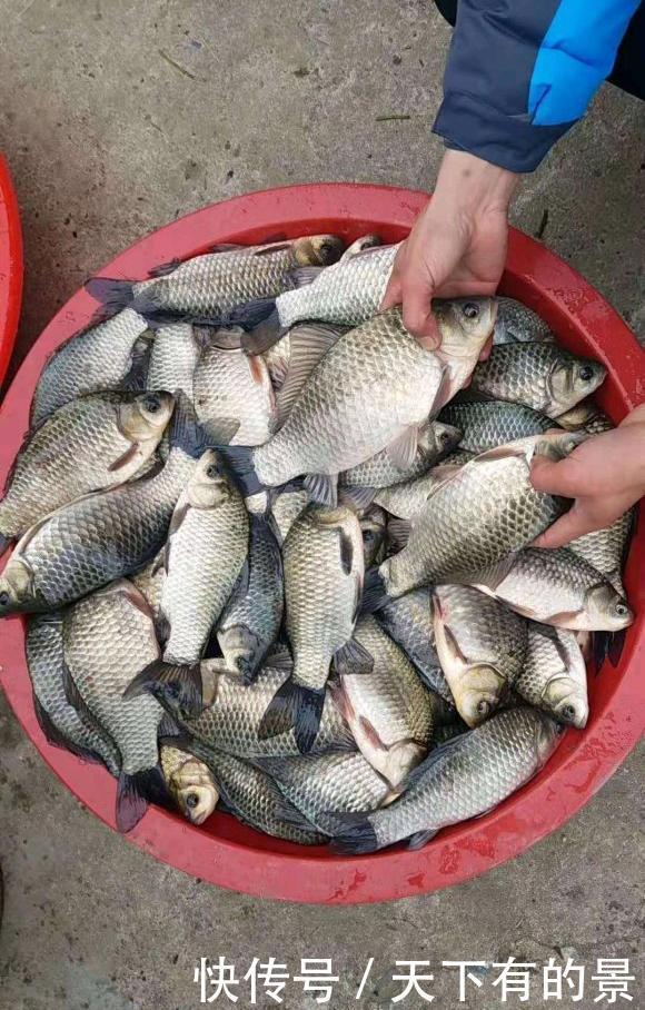 冬天野钓江河攻略,鱼儿都藏在这些地方,用对饵料一定有收获