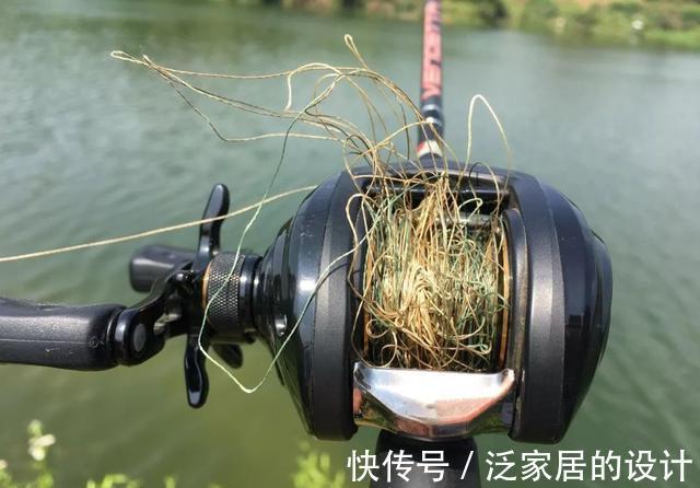 鄙视链|钓鱼圈也存在鄙视链?野钓黑坑吵得最凶,路亚在角落瑟瑟发抖