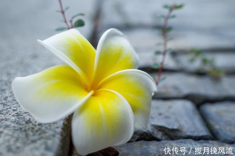 挥霍|人生下半场，最挥霍不起的是健康