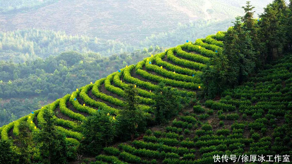 广德“番外”悲壮的传奇