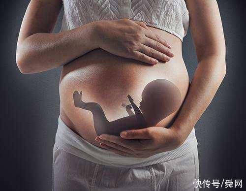 妊娠贫血|想怀孕后给胎宝宝足够营养，就要抓住胎儿这四个发育关键期!